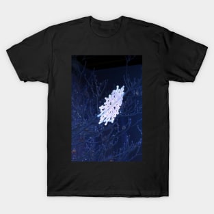 snowflake in blue 6 T-Shirt